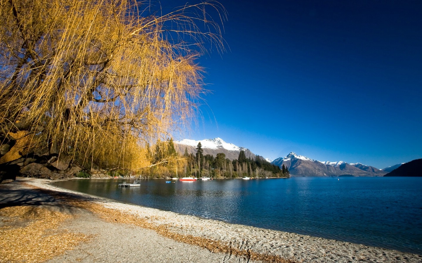 壁纸1440x900 新西兰皇后镇依卡蒂普湖 Lake Wakatipu Queenstown New Zealand壁纸 新西兰的山水如画壁纸壁纸 新西兰的山水如画壁纸图片 新西兰的山水如画壁纸素材 风景壁纸 风景图库 风景图片素材桌面壁纸