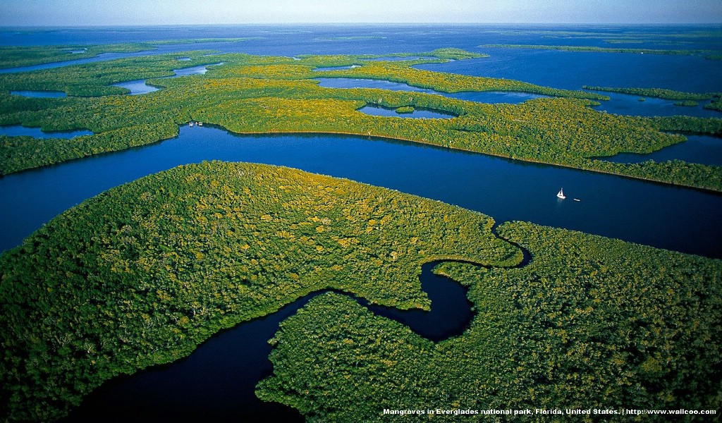 壁纸1024x600上帝之眼 Yann Arthus Bertrand 扬恩 亚瑟空中摄影奇景壁纸北美篇 鸟瞰美国 沼泽国家公园的红树林图片壁纸壁纸 扬恩·亚瑟空中摄影奇景 北美篇壁纸 扬恩·亚瑟空中摄影奇景 北美篇图片 扬恩·亚瑟空中摄影奇景 北美篇素材 风景壁纸 风景图库 风景图片素材桌面壁纸