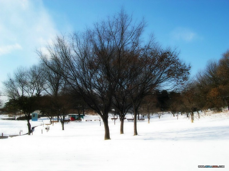 壁纸800x600专题摄影壁纸 之下雪的天空 下雪景色图片壁纸 Desktop wallpaper Snow Scenery壁纸 专题摄影壁纸下雪的天空壁纸 专题摄影壁纸下雪的天空图片 专题摄影壁纸下雪的天空素材 风景壁纸 风景图库 风景图片素材桌面壁纸