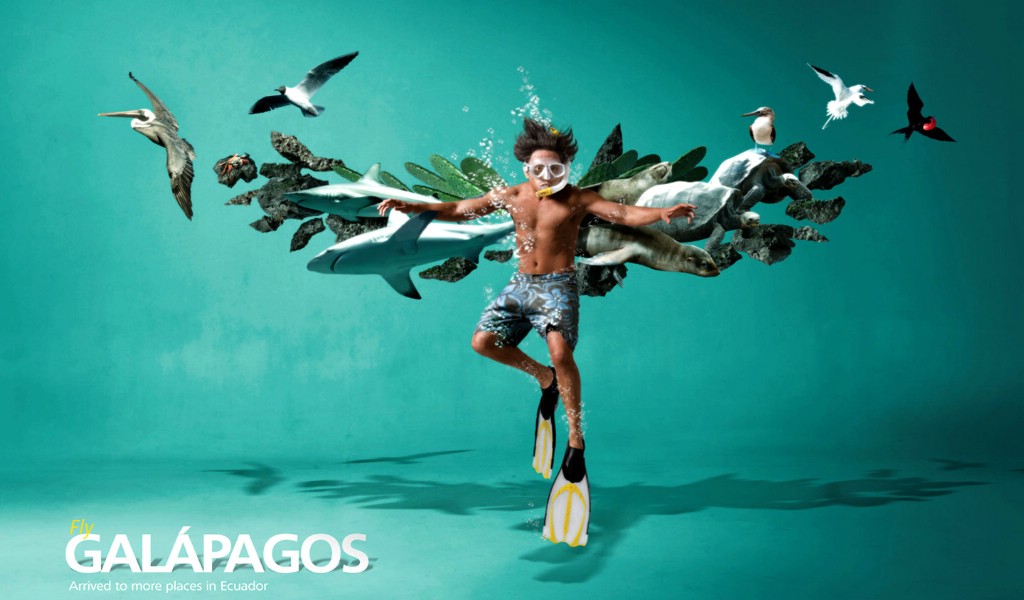 壁纸1024x600创意无限  Fly Galapagos Tame Ecuador航空公司创意广告壁纸 创意广告设计壁纸(第四辑)壁纸 创意广告设计壁纸(第四辑)图片 创意广告设计壁纸(第四辑)素材 广告壁纸 广告图库 广告图片素材桌面壁纸