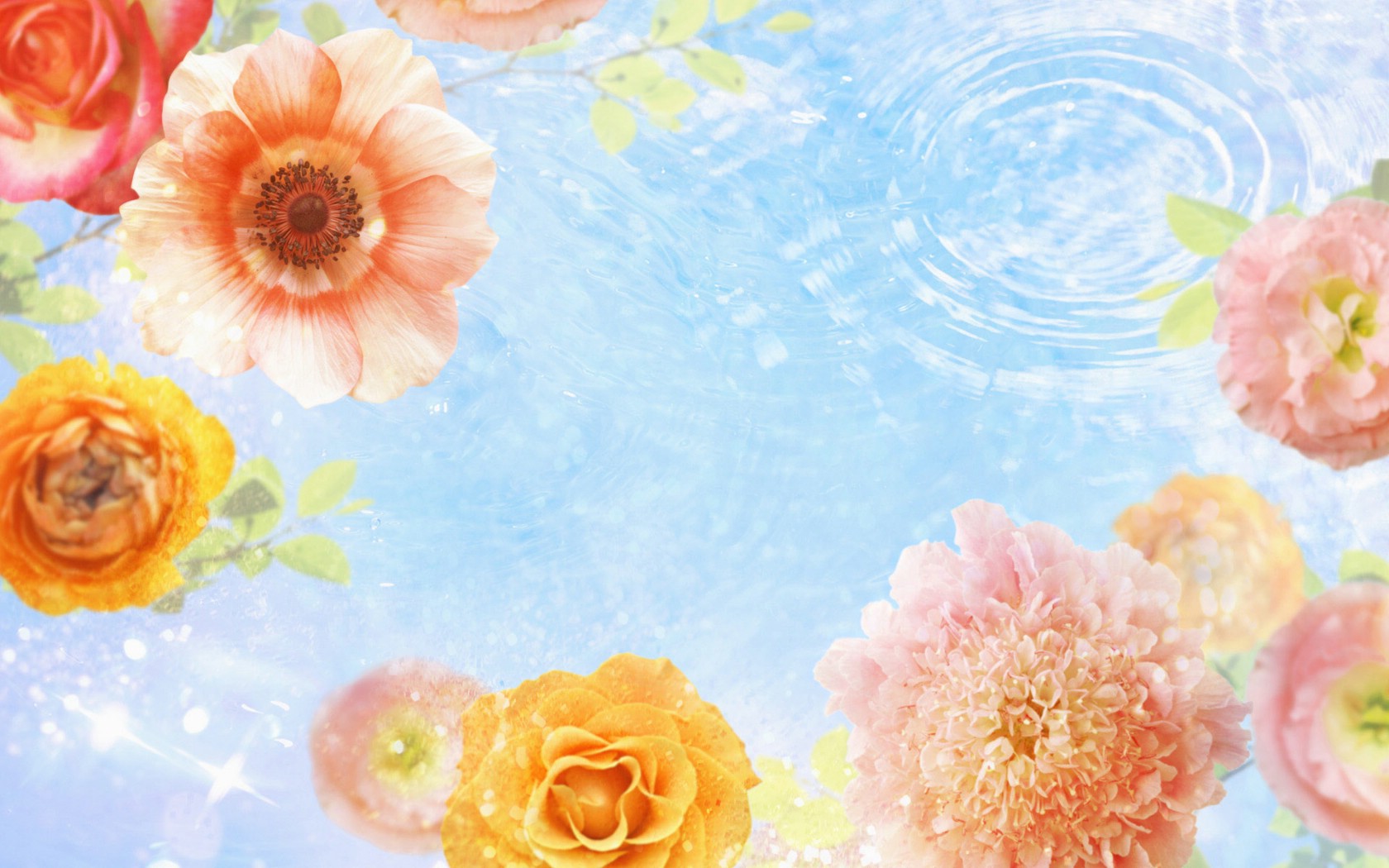 壁纸1680x1050 86张 7 种尺寸 Digital CG Flowers 梦幻花卉CG Flowers Art desktop壁纸 梦幻CG背景花卉壁纸 梦幻CG背景花卉图片 梦幻CG背景花卉素材 花卉壁纸 花卉图库 花卉图片素材桌面壁纸