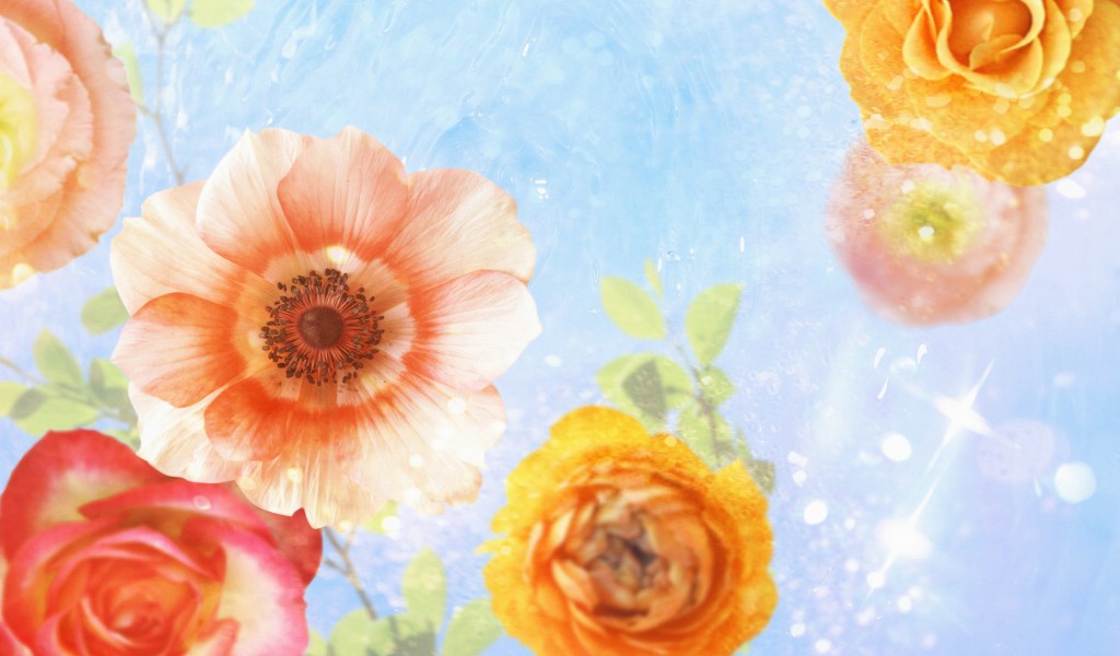 壁纸1024x600 86张 7 种尺寸 Digital CG Flowers 梦幻花卉CG Flowers Art desktop壁纸 梦幻CG背景花卉壁纸 梦幻CG背景花卉图片 梦幻CG背景花卉素材 花卉壁纸 花卉图库 花卉图片素材桌面壁纸