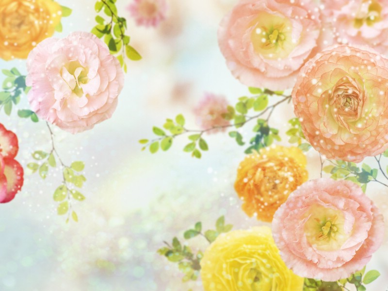 壁纸800x600 86张 7 种尺寸 Digital CG Flowers 梦幻花卉CG Flowers Art desktop壁纸 梦幻CG背景花卉壁纸 梦幻CG背景花卉图片 梦幻CG背景花卉素材 花卉壁纸 花卉图库 花卉图片素材桌面壁纸