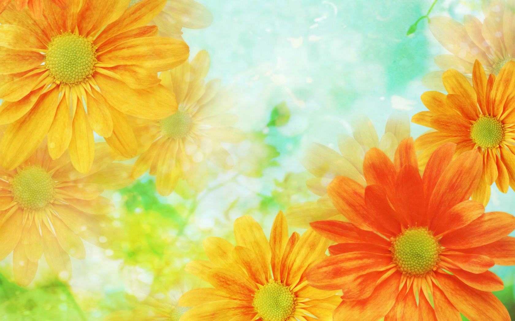 壁纸1680x1050 86张 7 种尺寸 Digital CG Flowers 梦幻花卉CG Flowers Art desktop壁纸 梦幻CG背景花卉壁纸 梦幻CG背景花卉图片 梦幻CG背景花卉素材 花卉壁纸 花卉图库 花卉图片素材桌面壁纸