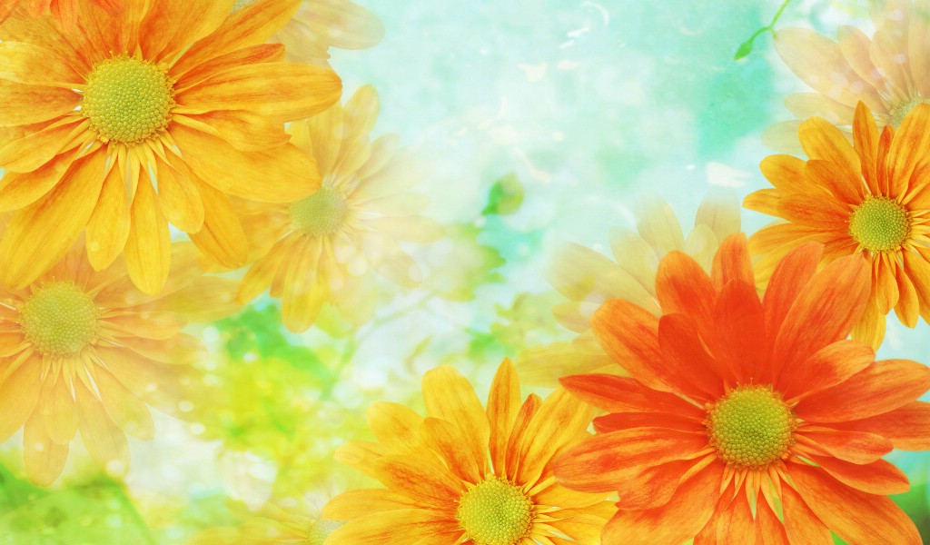 壁纸1024x600 86张 7 种尺寸 Digital CG Flowers 梦幻花卉CG Flowers Art desktop壁纸 梦幻CG背景花卉壁纸 梦幻CG背景花卉图片 梦幻CG背景花卉素材 花卉壁纸 花卉图库 花卉图片素材桌面壁纸