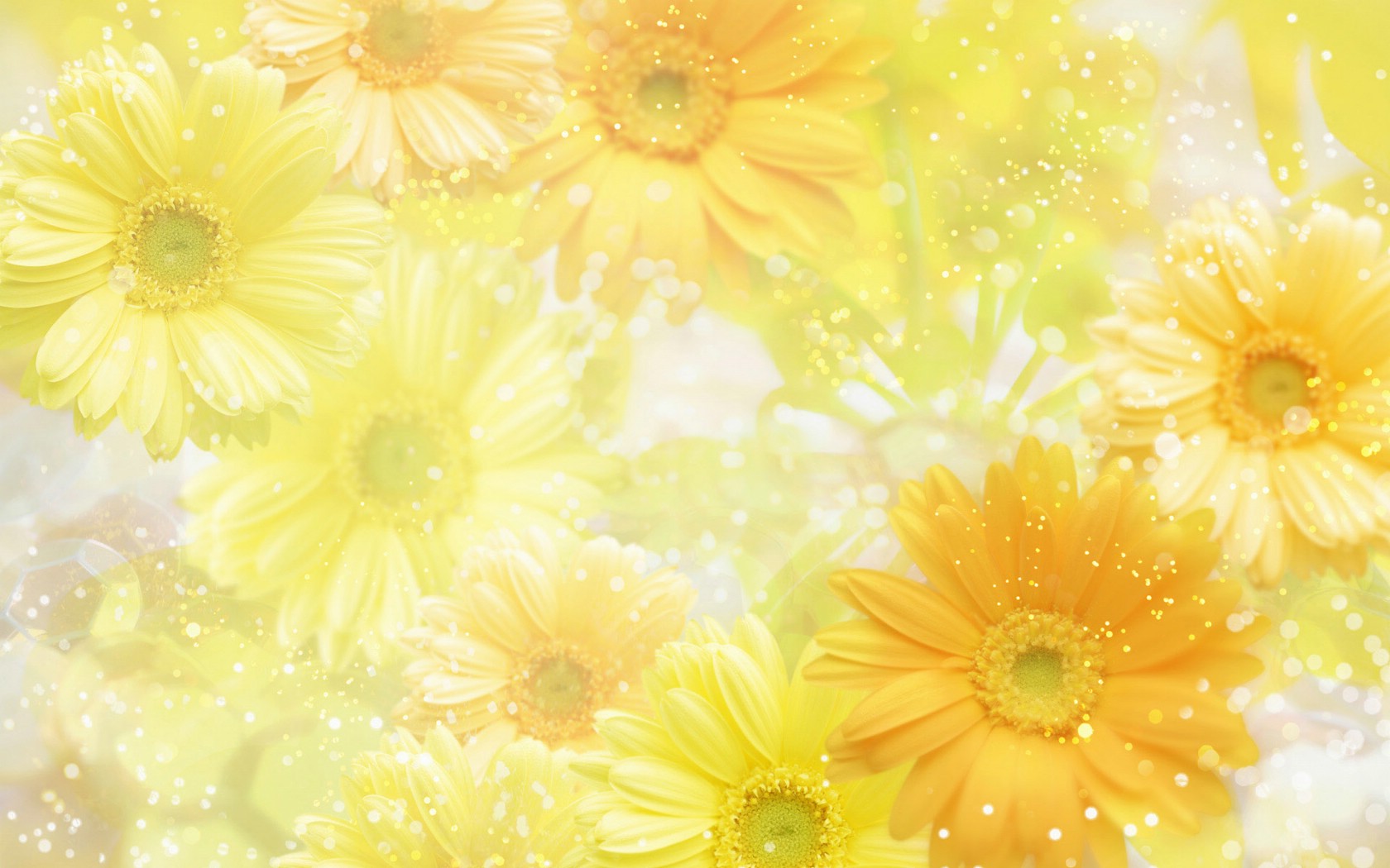 壁纸1680x1050 86张 7 种尺寸 Digital CG Flowers 梦幻花卉CG Flowers Art desktop壁纸 梦幻CG背景花卉壁纸 梦幻CG背景花卉图片 梦幻CG背景花卉素材 花卉壁纸 花卉图库 花卉图片素材桌面壁纸