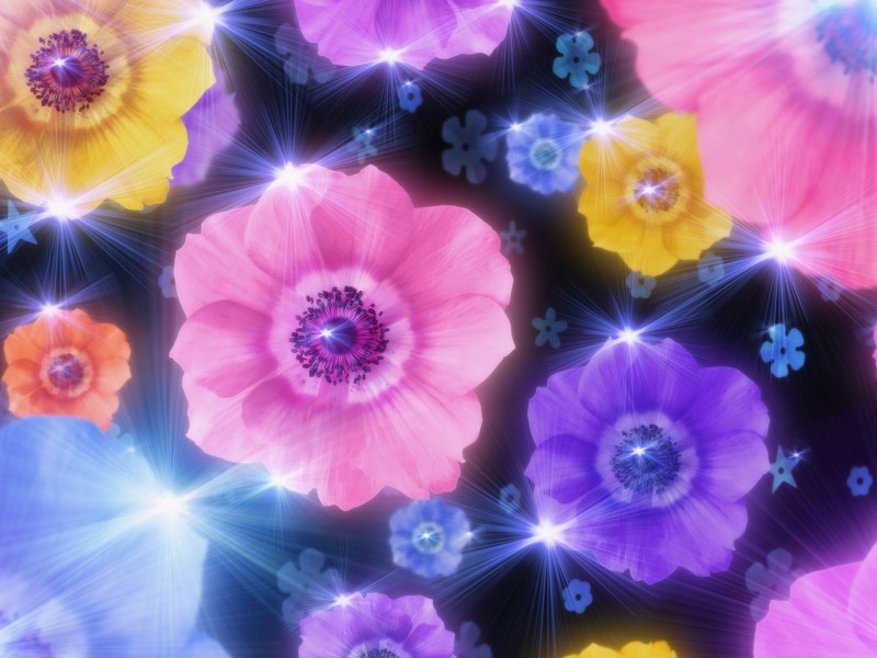 壁纸800x600 86张 7 种尺寸 Digital CG Flowers 梦幻花卉CG Flowers Art desktop壁纸 梦幻CG背景花卉壁纸 梦幻CG背景花卉图片 梦幻CG背景花卉素材 花卉壁纸 花卉图库 花卉图片素材桌面壁纸