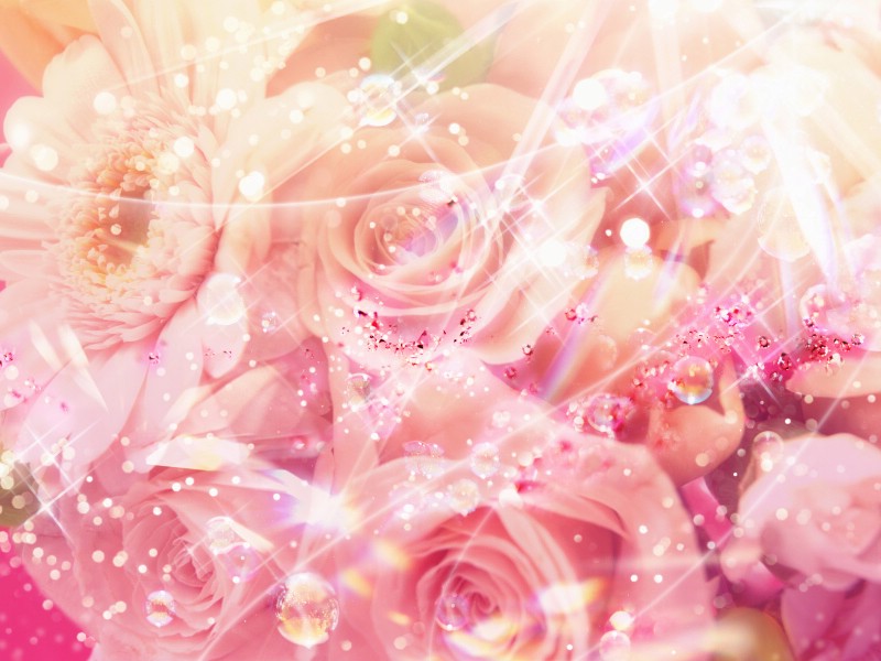 壁纸800x600 86张 7 种尺寸 Digital CG Flowers 梦幻花卉CG <br>Flowers Art desktop壁纸 梦幻CG背景花卉壁纸 梦幻CG背景花卉图片 梦幻CG背景花卉素材 花卉壁纸 花卉图库 花卉图片素材桌面壁纸