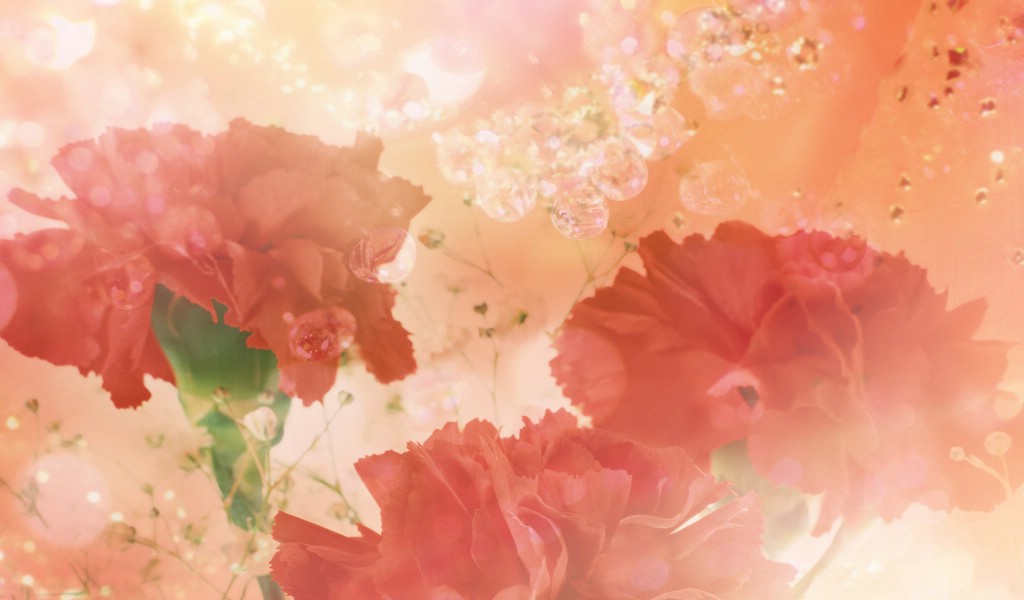 壁纸1024x600 86张 7 种尺寸 Digital CG Flowers 梦幻花卉CG Flowers Art desktop壁纸 梦幻CG背景花卉壁纸 梦幻CG背景花卉图片 梦幻CG背景花卉素材 花卉壁纸 花卉图库 花卉图片素材桌面壁纸