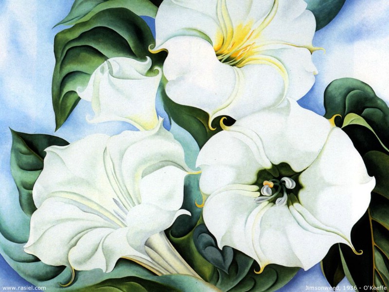 壁纸800x600世界名画壁纸 美国现代女画家 Georgia O Keeffe 乔治亚 艾琪芙作品 乔治亚 艾琪芙的花卉作品 Georgia O Keeffe Art Paintings壁纸 美国女画家 Georgia OKeeffe 乔治亚·艾琪芙作品壁纸 美国女画家 Georgia OKeeffe 乔治亚·艾琪芙作品图片 美国女画家 Georgia OKeeffe 乔治亚·艾琪芙作品素材 绘画壁纸 绘画图库 绘画图片素材桌面壁纸