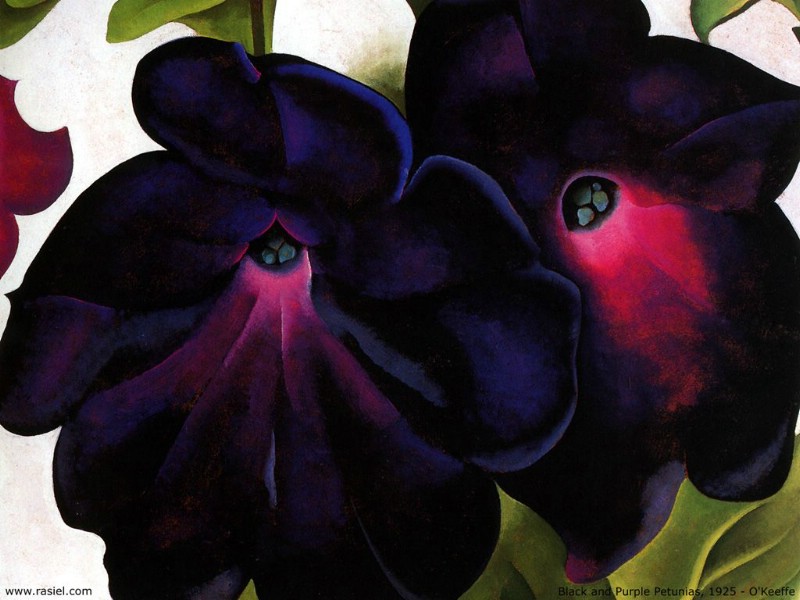 壁纸800x600世界名画壁纸 美国现代女画家 Georgia O Keeffe 乔治亚 艾琪芙作品 乔治亚 艾琪芙的花卉作品 Georgia O Keeffe Art Paintings壁纸 美国女画家 Georgia OKeeffe 乔治亚·艾琪芙作品壁纸 美国女画家 Georgia OKeeffe 乔治亚·艾琪芙作品图片 美国女画家 Georgia OKeeffe 乔治亚·艾琪芙作品素材 绘画壁纸 绘画图库 绘画图片素材桌面壁纸