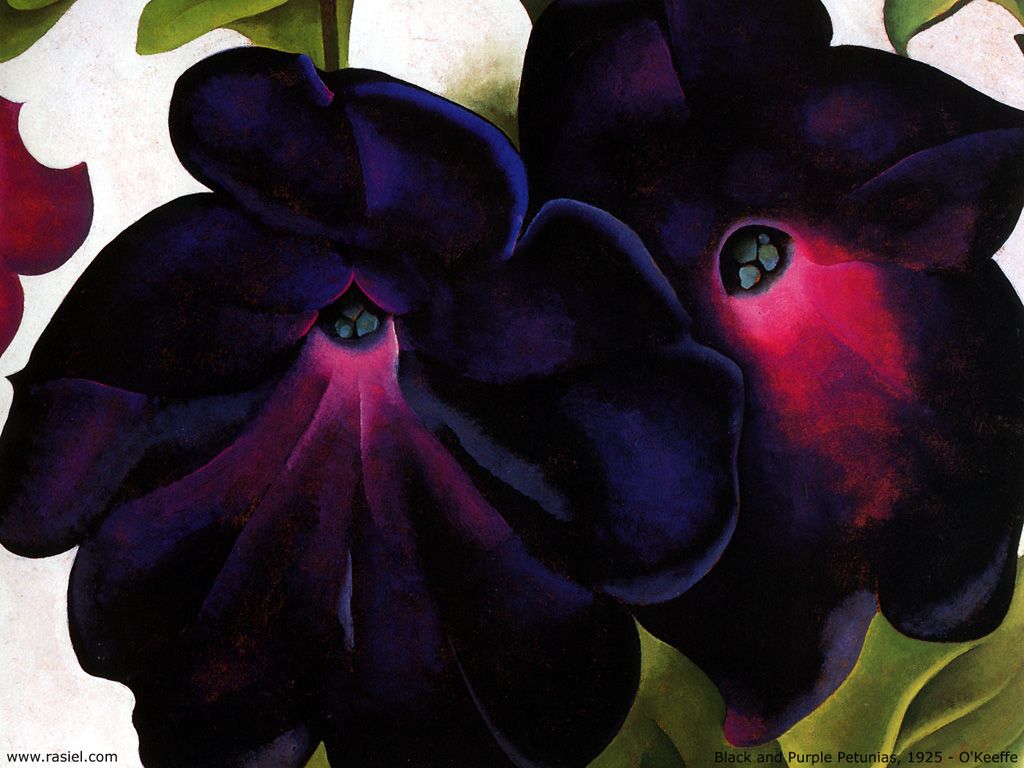 壁纸1024x768世界名画壁纸 美国现代女画家 Georgia O Keeffe 乔治亚 艾琪芙作品 乔治亚 艾琪芙的花卉作品 Georgia O Keeffe Art Paintings壁纸 美国女画家 Georgia OKeeffe 乔治亚·艾琪芙作品壁纸 美国女画家 Georgia OKeeffe 乔治亚·艾琪芙作品图片 美国女画家 Georgia OKeeffe 乔治亚·艾琪芙作品素材 绘画壁纸 绘画图库 绘画图片素材桌面壁纸