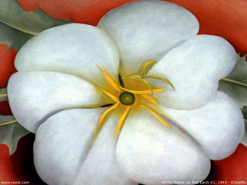 壁纸1024x768世界名画壁纸 美国现代女画家 Georgia O Keeffe 乔治亚 艾琪芙作品 乔治亚 艾琪芙的花卉作品 Georgia O Keeffe Art Paintings壁纸 美国女画家 Georgia OKeeffe 乔治亚·艾琪芙作品壁纸 美国女画家 Georgia OKeeffe 乔治亚·艾琪芙作品图片 美国女画家 Georgia OKeeffe 乔治亚·艾琪芙作品素材 绘画壁纸 绘画图库 绘画图片素材桌面壁纸