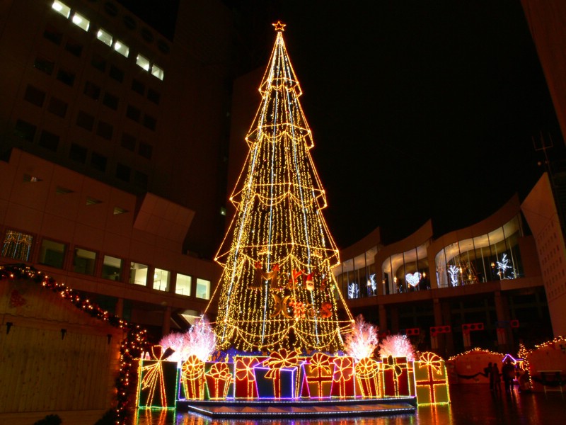 壁纸800x600 华丽闪亮的圣诞树壁纸 Christmas night Christmas Trees壁纸 闪烁美丽的圣诞树夜景壁纸壁纸 闪烁美丽的圣诞树夜景壁纸图片 闪烁美丽的圣诞树夜景壁纸素材 节日壁纸 节日图库 节日图片素材桌面壁纸