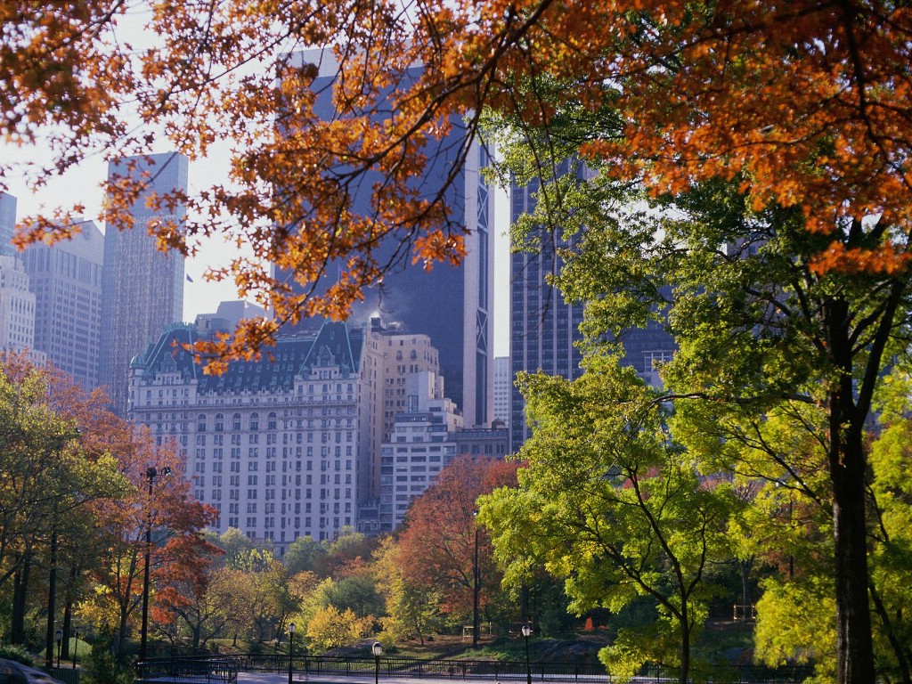 壁纸1024x768文化之旅  Central Park in Autumn New York 纽约 中央公园的秋色图片壁纸壁纸 地理人文景观壁纸精选 第四辑壁纸 地理人文景观壁纸精选 第四辑图片 地理人文景观壁纸精选 第四辑素材 人文壁纸 人文图库 人文图片素材桌面壁纸