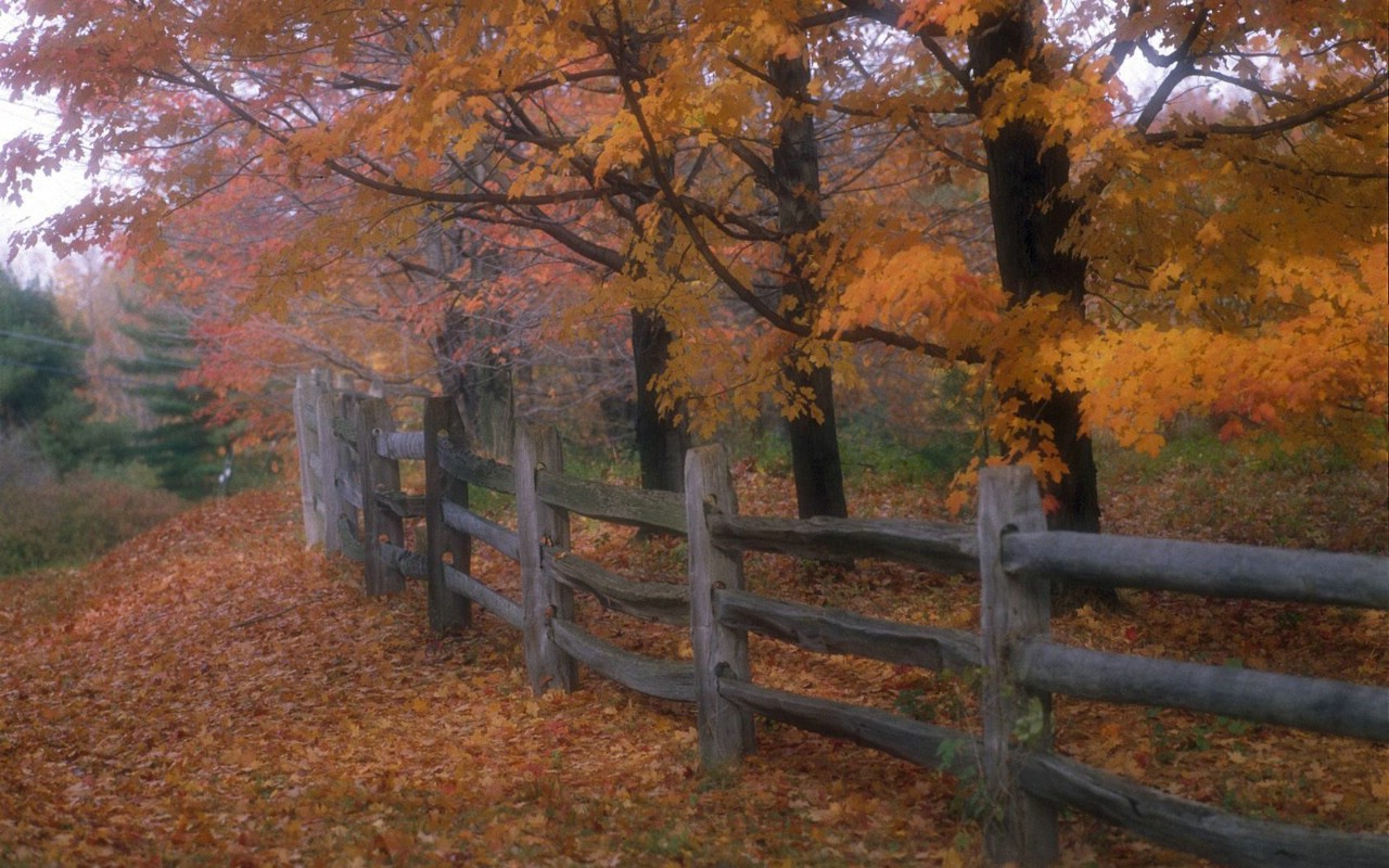 壁纸1280x800文化之旅  Country Fence Ohio 俄亥俄 乡村秋色图片壁纸壁纸 地理人文景观壁纸精选 第四辑壁纸 地理人文景观壁纸精选 第四辑图片 地理人文景观壁纸精选 第四辑素材 人文壁纸 人文图库 人文图片素材桌面壁纸