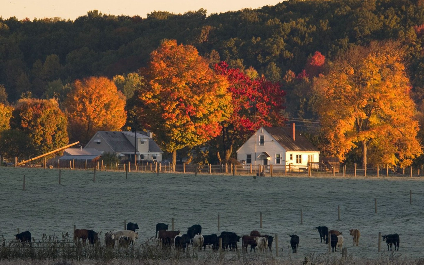 壁纸1440x900文化之旅  Farm in Hocking Hills Ohio 俄亥俄 荷金岗农场图片壁纸壁纸 地理人文景观壁纸精选 第四辑壁纸 地理人文景观壁纸精选 第四辑图片 地理人文景观壁纸精选 第四辑素材 人文壁纸 人文图库 人文图片素材桌面壁纸