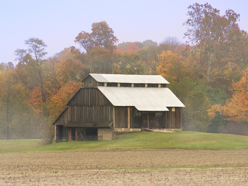 壁纸800x600文化之旅  Rising Mist on an Autumn Morning Arkansas 阿肯色州 清晨薄雾图片壁纸壁纸 地理人文景观壁纸精选 第四辑壁纸 地理人文景观壁纸精选 第四辑图片 地理人文景观壁纸精选 第四辑素材 人文壁纸 人文图库 人文图片素材桌面壁纸