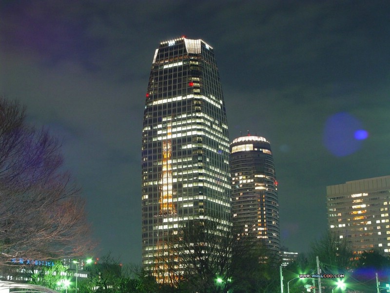 壁纸800x600鸟瞰东京 东京夜景壁纸 日本东京夜景摄影 Japan Tokyo Views From Tokyo Tower壁纸 鸟瞰东京夜景壁纸壁纸 鸟瞰东京夜景壁纸图片 鸟瞰东京夜景壁纸素材 人文壁纸 人文图库 人文图片素材桌面壁纸