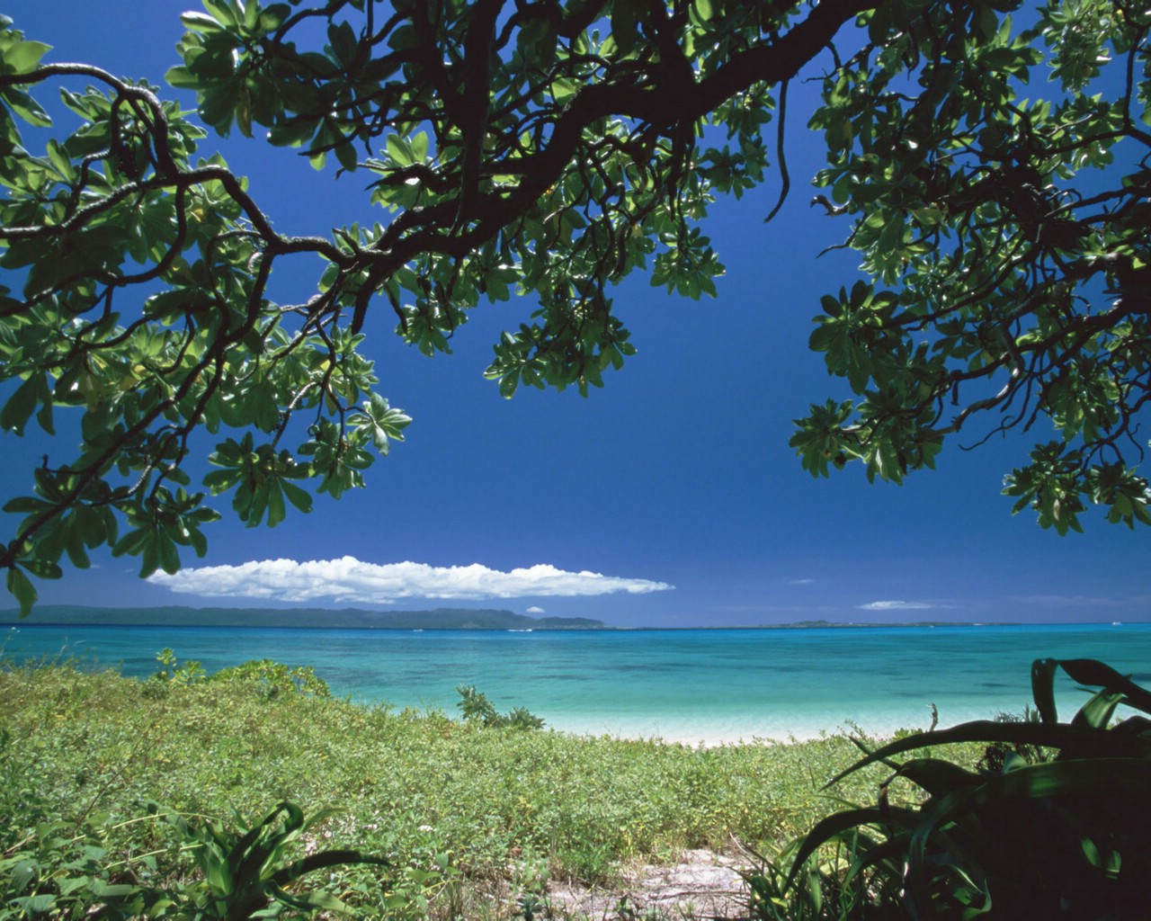 壁纸1280x1024 50张 6种尺寸 Beach Vacation in Okinawa壁纸 日本冲绳海岸风光(一)壁纸 日本冲绳海岸风光(一)图片 日本冲绳海岸风光(一)素材 人文壁纸 人文图库 人文图片素材桌面壁纸