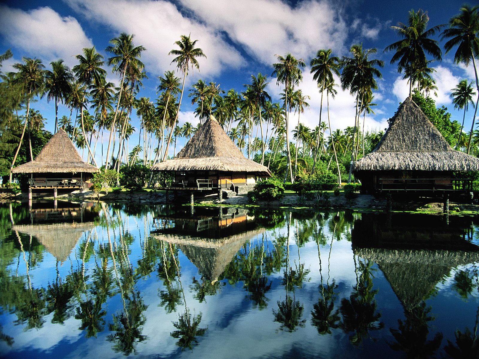 壁纸1600x1200文化之旅 地理人文景观壁纸精选 第二辑 Hotel Bungalows Moorea French Polynesia 波利尼西亚 莫雷阿岛图片壁纸壁纸 文化之旅地理人文景观壁纸精选 第二辑壁纸 文化之旅地理人文景观壁纸精选 第二辑图片 文化之旅地理人文景观壁纸精选 第二辑素材 人文壁纸 人文图库 人文图片素材桌面壁纸