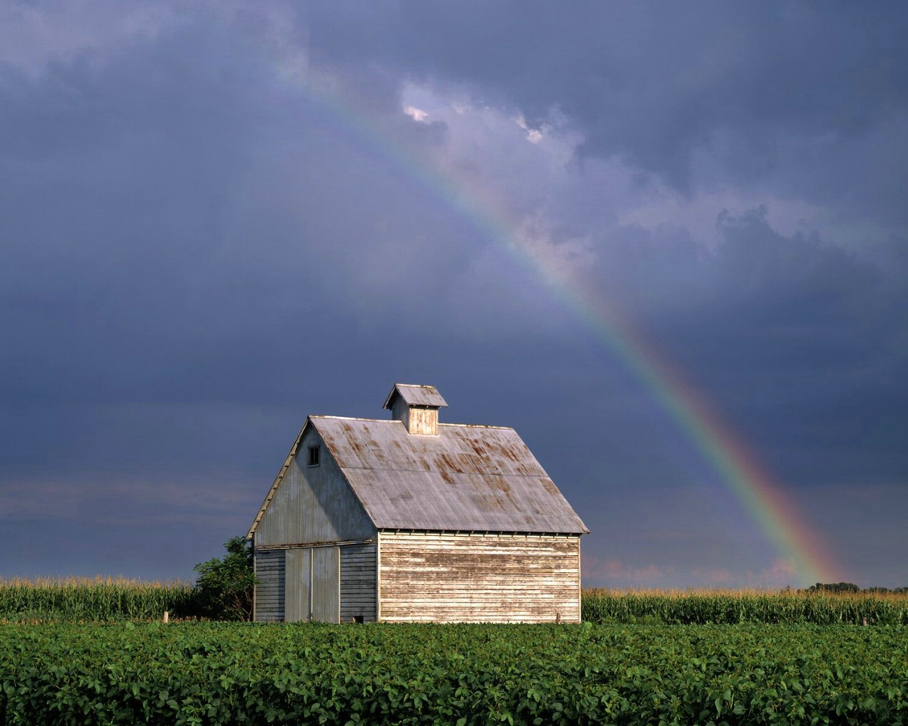 壁纸1280x1024文化之旅 地理人文景观壁纸精选 第一辑 Rainbow Over a Corn Crib LaSalle County Illinois 伊利诺斯州 拉萨尔县谷仓图片壁纸壁纸 文化之旅地理人文景观(一)壁纸 文化之旅地理人文景观(一)图片 文化之旅地理人文景观(一)素材 人文壁纸 人文图库 人文图片素材桌面壁纸