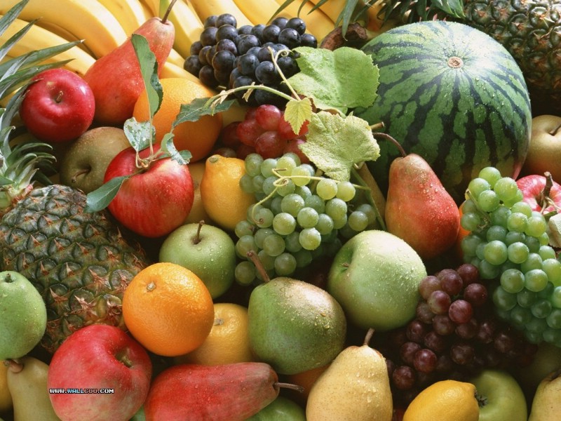 壁纸800x600 丰收水果图片壁纸 Stock Photographs of Fruit Photography壁纸 丰收季节(一)水果特写壁纸 丰收季节(一)水果特写图片 丰收季节(一)水果特写素材 摄影壁纸 摄影图库 摄影图片素材桌面壁纸