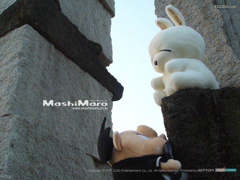 壁纸800x600 流氓兔毛绒娃娃 mashimaro stuffed toy Desktop Wallpaper壁纸 韩国mashimaro流氓兔公仔壁纸壁纸 韩国mashimaro流氓兔公仔壁纸图片 韩国mashimaro流氓兔公仔壁纸素材 摄影壁纸 摄影图库 摄影图片素材桌面壁纸