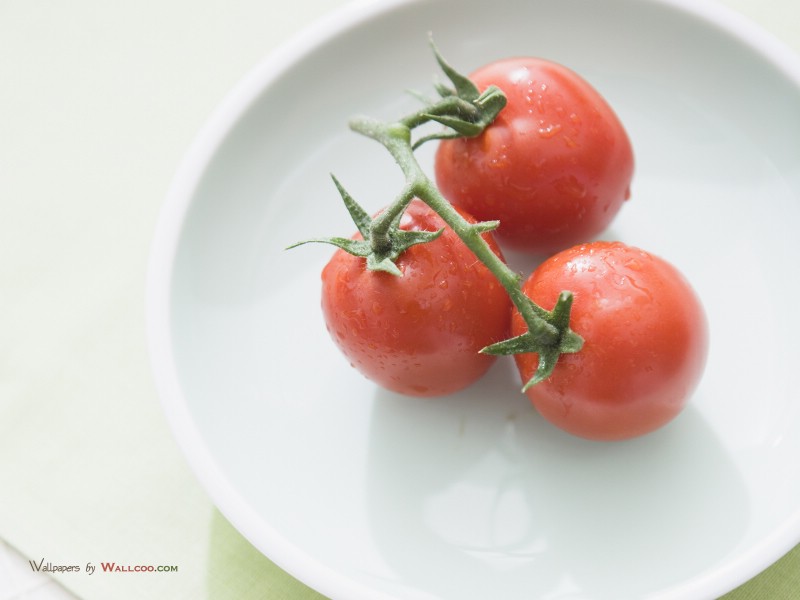 壁纸800x600 番茄图片 番茄壁纸Tomatos Photo Tomatos Wallpaper壁纸 健康早餐-美食摄影壁纸壁纸 健康早餐-美食摄影壁纸图片 健康早餐-美食摄影壁纸素材 摄影壁纸 摄影图库 摄影图片素材桌面壁纸