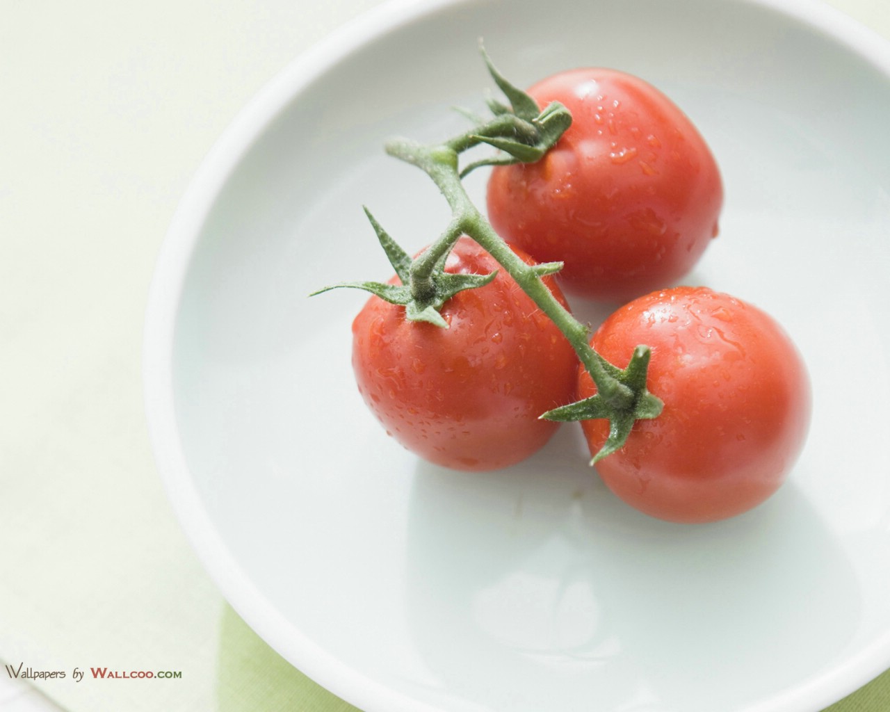 壁纸1280x1024 番茄图片 番茄壁纸Tomatos Photo Tomatos Wallpaper壁纸 健康早餐-美食摄影壁纸壁纸 健康早餐-美食摄影壁纸图片 健康早餐-美食摄影壁纸素材 摄影壁纸 摄影图库 摄影图片素材桌面壁纸