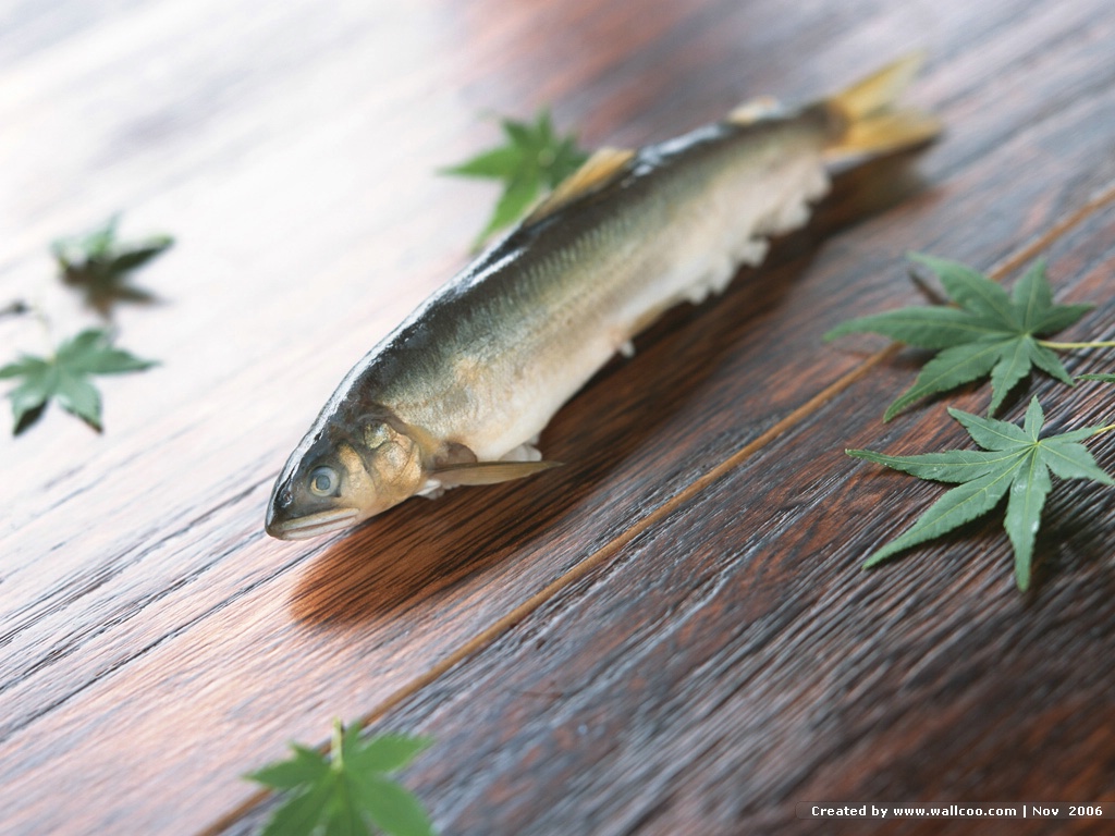 壁纸1024x768日本美食摄影 秋季主题 秋季食物图片壁纸 Stock Photography of Japanese Food Autumn壁纸 日本美食摄影秋季主题壁纸 日本美食摄影秋季主题图片 日本美食摄影秋季主题素材 摄影壁纸 摄影图库 摄影图片素材桌面壁纸