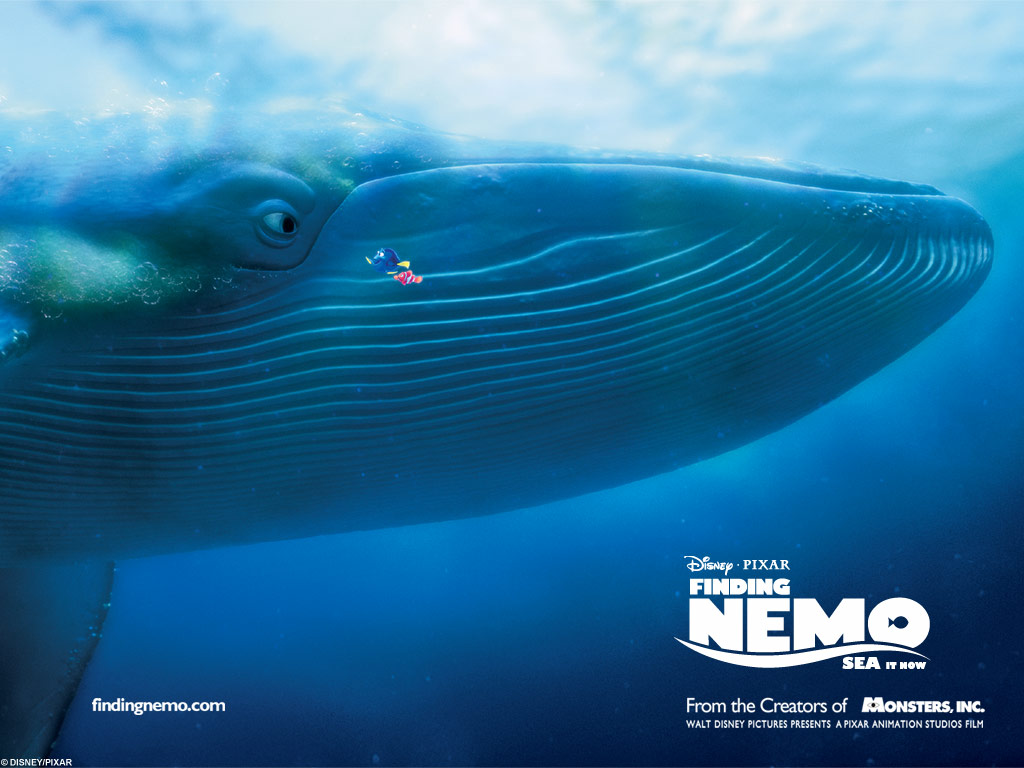 壁纸1024x768 Finding Nemo Movie Wallpaper <海底总动员>电影壁纸壁纸 Finding Nemo 海底总动员官方电影壁纸壁纸 Finding Nemo 海底总动员官方电影壁纸图片 Finding Nemo 海底总动员官方电影壁纸素材 影视壁纸 影视图库 影视图片素材桌面壁纸