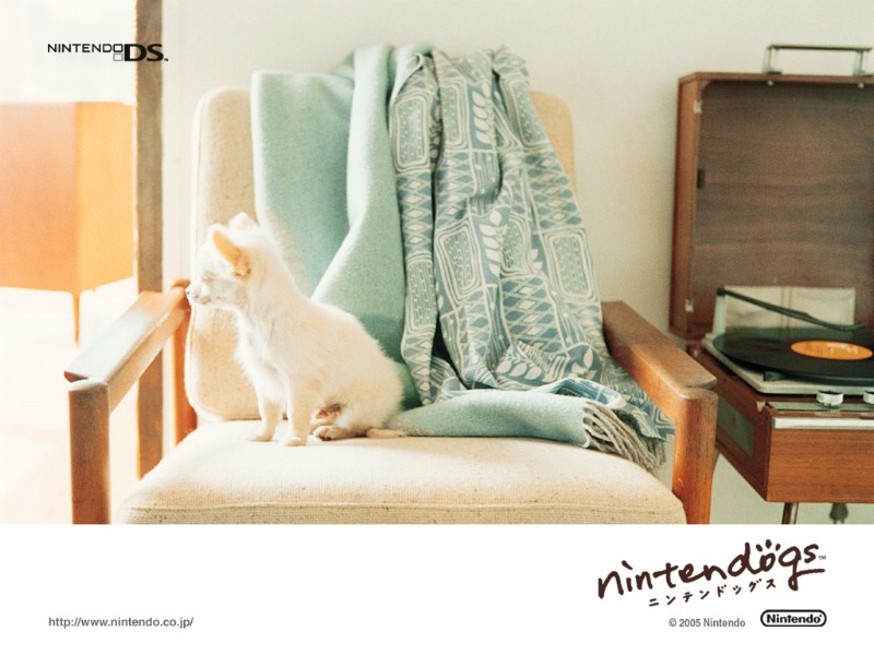 壁纸800x600游戏 任天狗 壁纸 任天狗 游戏壁纸 Nintendo game Nintendogs Wallpaper壁纸 《Nintendogs任天狗》游戏壁纸壁纸 《Nintendogs任天狗》游戏壁纸图片 《Nintendogs任天狗》游戏壁纸素材 游戏壁纸 游戏图库 游戏图片素材桌面壁纸