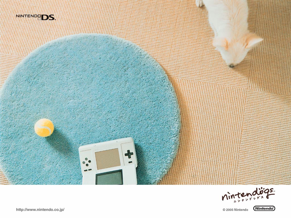 壁纸1024x768游戏 任天狗 壁纸 任天狗 游戏壁纸 Nintendo game Nintendogs Wallpaper壁纸 《Nintendogs任天狗》游戏壁纸壁纸 《Nintendogs任天狗》游戏壁纸图片 《Nintendogs任天狗》游戏壁纸素材 游戏壁纸 游戏图库 游戏图片素材桌面壁纸