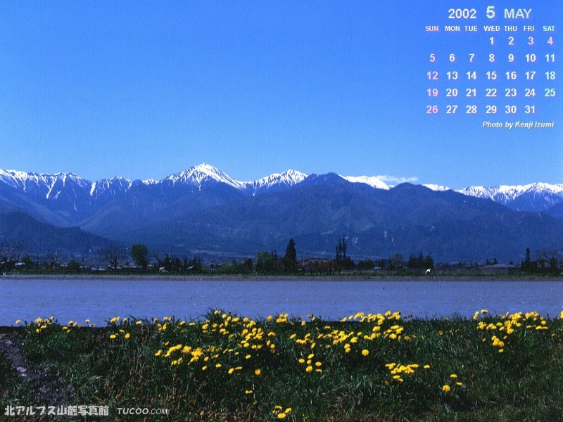 壁纸800x600 5月份月历桌面壁纸 May Desktop Calendar壁纸 2002年5月月历壁纸壁纸 2002年5月月历壁纸图片 2002年5月月历壁纸素材 月历壁纸 月历图库 月历图片素材桌面壁纸